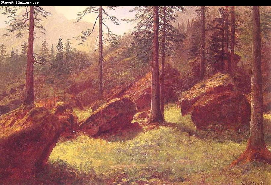 Albert Bierstadt Wooded Landscape